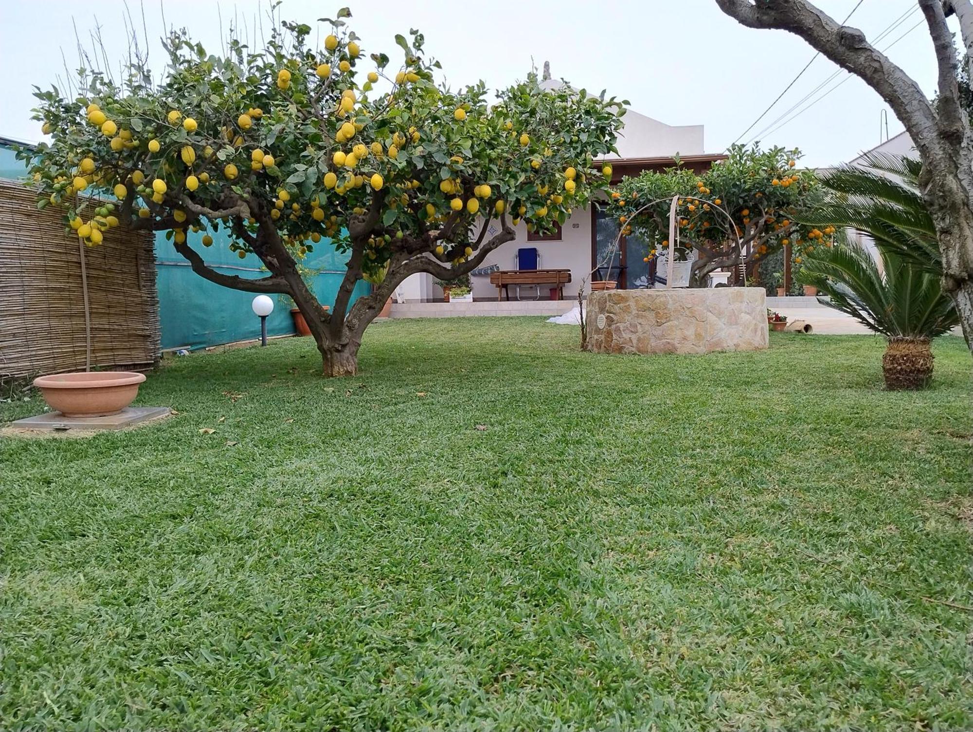 Brezza Di Stagnone Apartment Birgi Vecchi Bagian luar foto